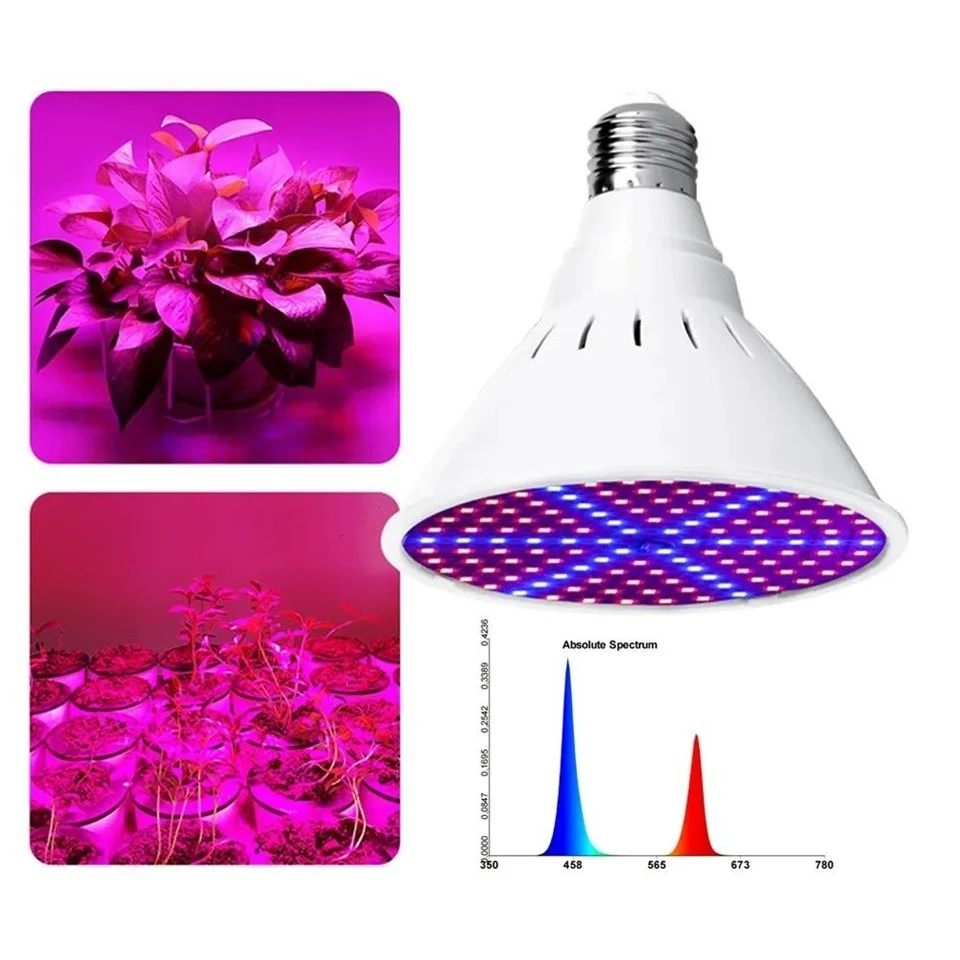 info-1-1 Indoor Grow Light Bulb